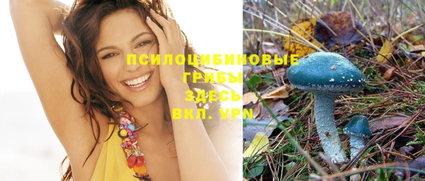 не бодяженный Алзамай